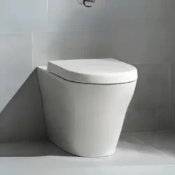 Water Closet Back to Wall Floor Standing